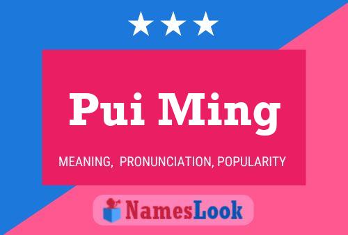 Pui Ming 名字海报