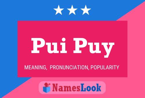 Pui Puy 名字海报