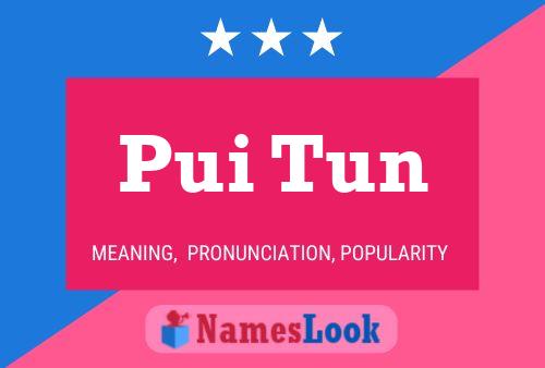 Pui Tun 名字海报