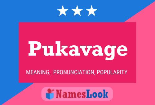 Pukavage 名字海报