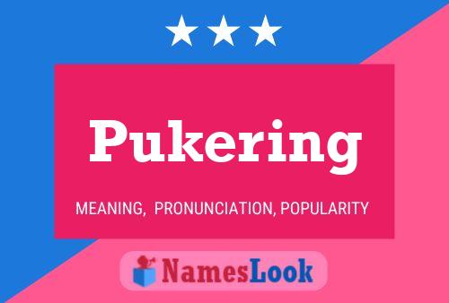 Pukering 名字海报