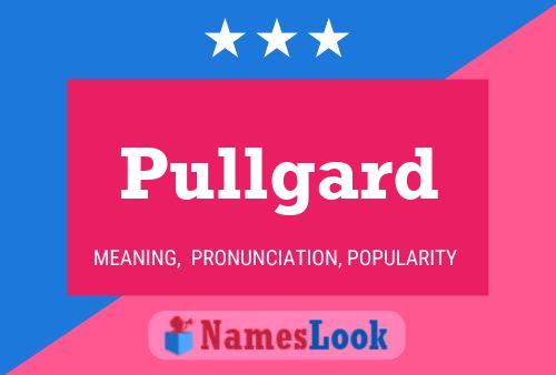 Pullgard 名字海报