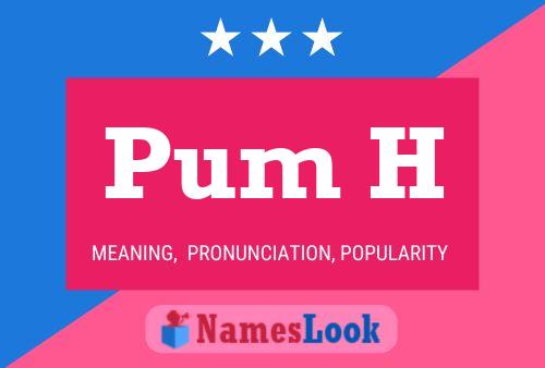 Pum H 名字海报