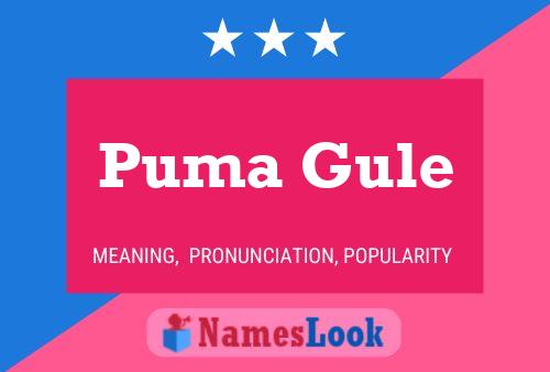 Puma Gule 名字海报