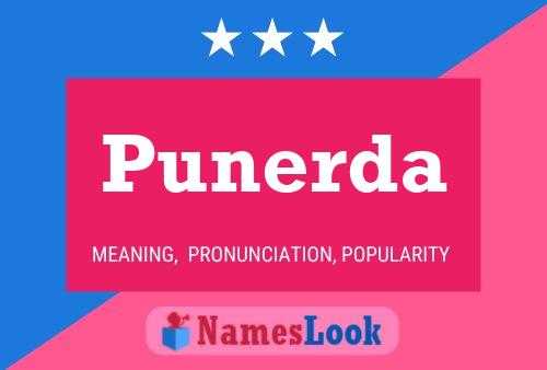 Punerda 名字海报