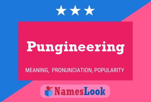 Pungineering 名字海报