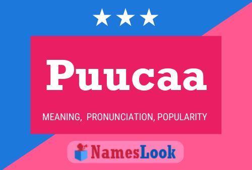 Puucaa 名字海报