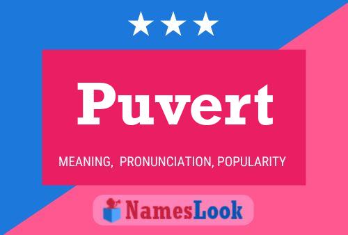 Puvert 名字海报