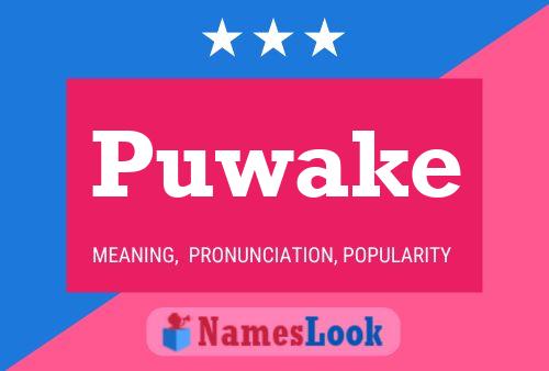 Puwake 名字海报