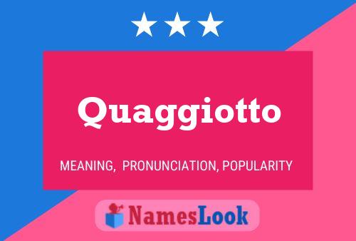 Quaggiotto 名字海报