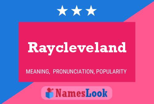 Raycleveland 名字海报