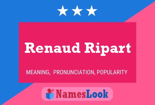 Renaud Ripart 名字海报