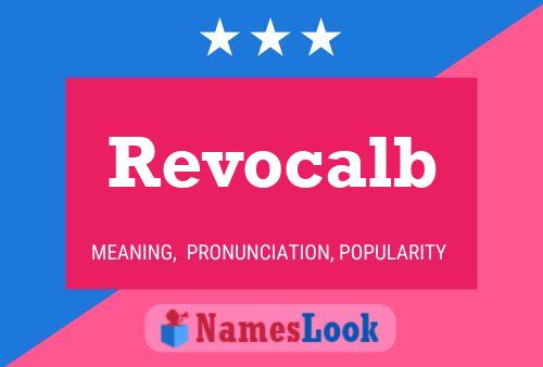 Revocalb 名字海报