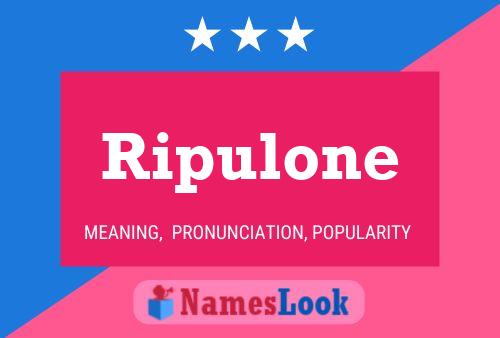 Ripulone 名字海报