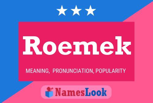 Roemek 名字海报