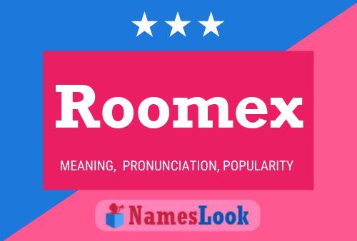 Roomex 名字海报