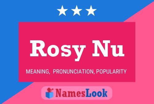 Rosy Nu 名字海报