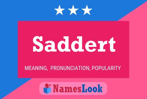 Saddert 名字海报