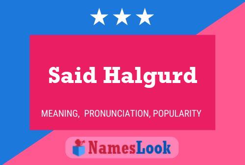 Said Halgurd 名字海报