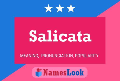 Salicata 名字海报