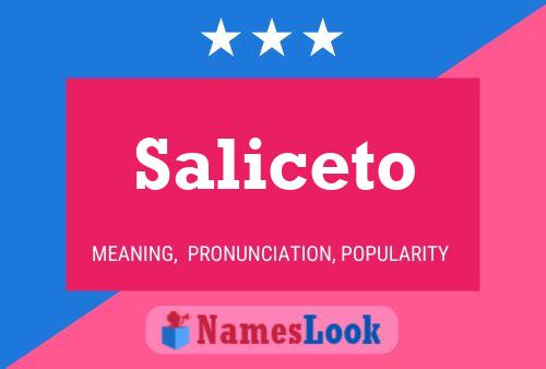 Saliceto 名字海报