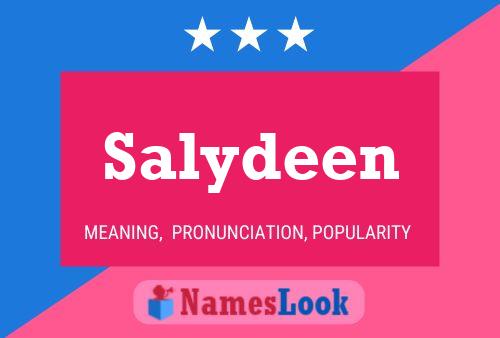 Salydeen 名字海报