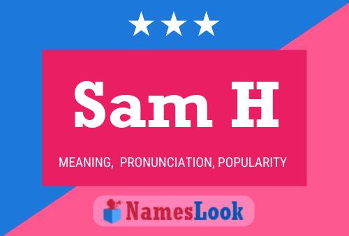 Sam H 名字海报