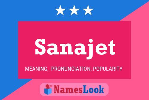 Sanajet 名字海报