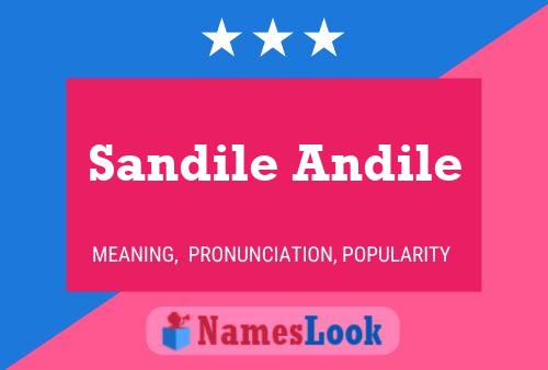 Sandile Andile 名字海报