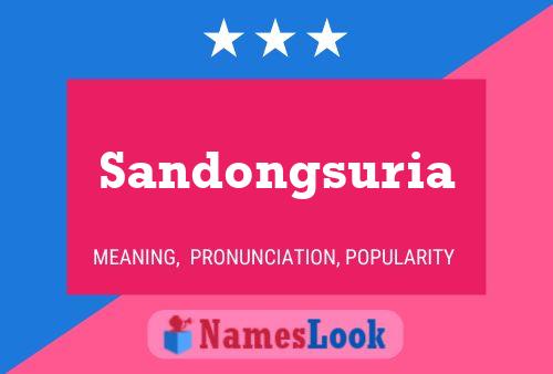 Sandongsuria 名字海报