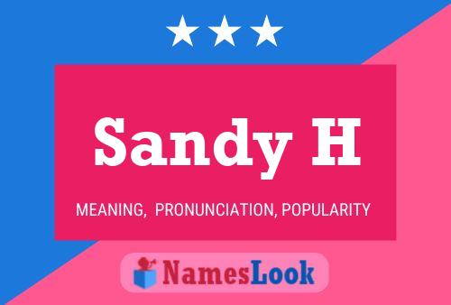 Sandy H 名字海报