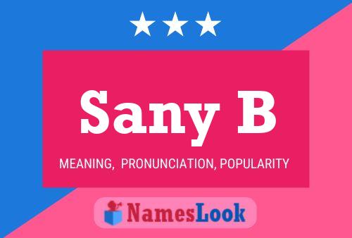 Sany B 名字海报