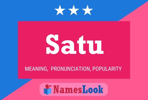 Satu 名字海报