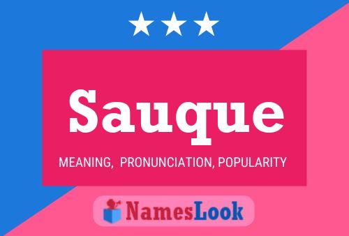 Sauque 名字海报