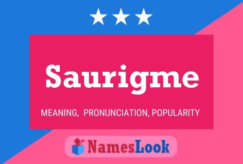 Saurigme 名字海报