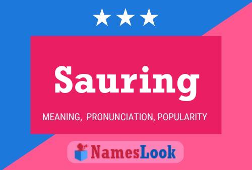 Sauring 名字海报