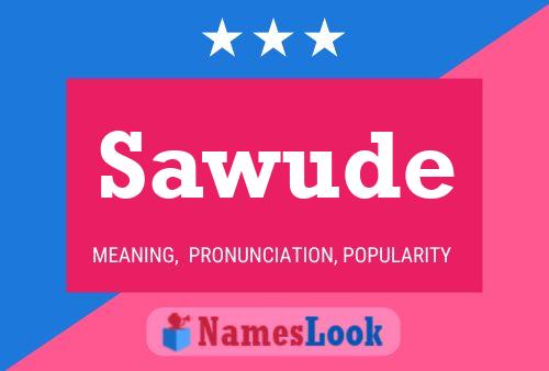 Sawude 名字海报