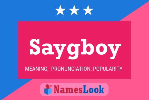 Saygboy 名字海报