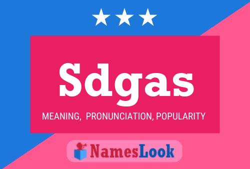 Sdgas 名字海报