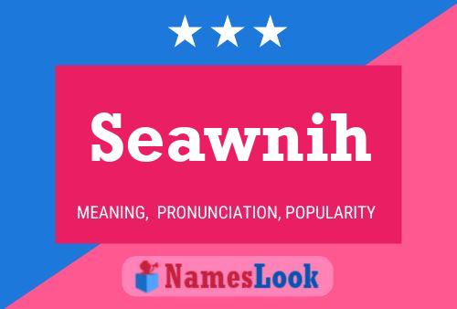 Seawnih 名字海报