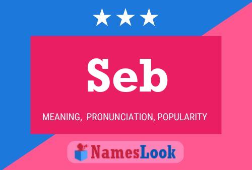 Seb 名字海报