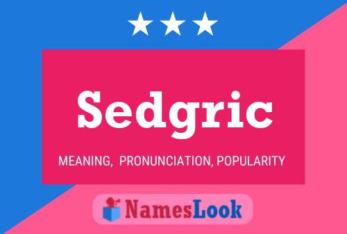 Sedgric 名字海报