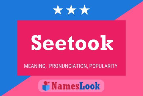 Seetook 名字海报