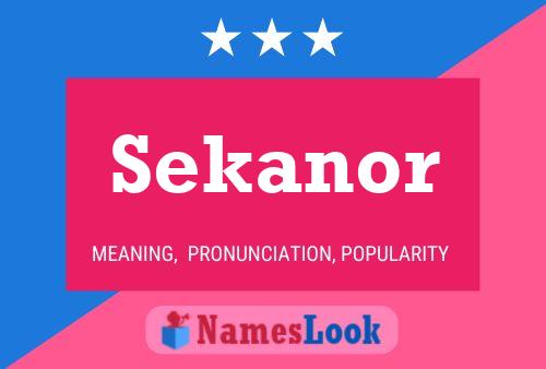 Sekanor 名字海报