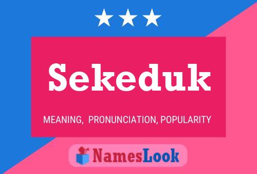 Sekeduk 名字海报