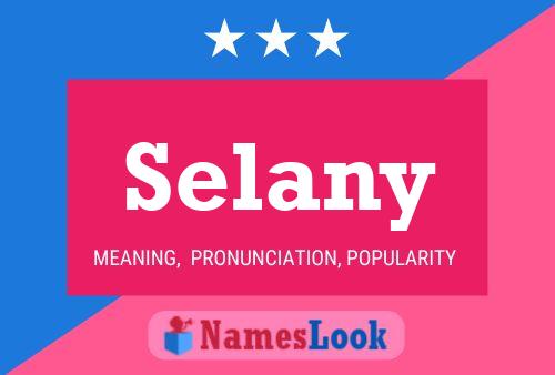 Selany 名字海报