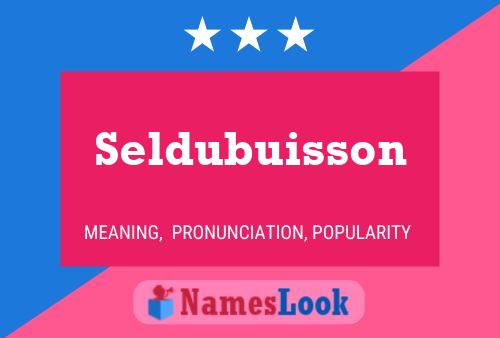 Seldubuisson 名字海报