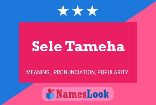 Sele Tameha 名字海报