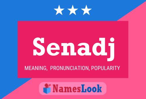 Senadj 名字海报