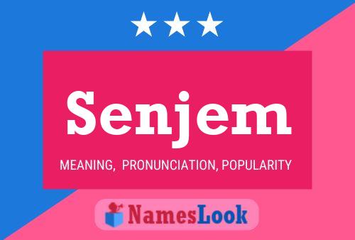 Senjem 名字海报